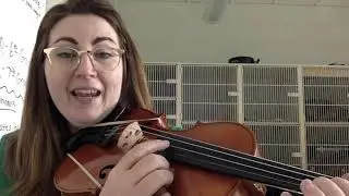 A String Notes on Violin and Switching Between High D/Low D