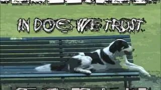johnnydogs - shitty messy motelroom