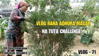 100 DAYS 100 VLOGS CHALLENGE VLOG 71 ! DAILY VLOGS !  @family   @PeopleVsFood