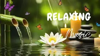 Relaxing Music & piano Sound  Relieves stress 🦚