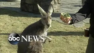Celebrating World Wildlife Day