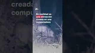 &iquest;Qu&eacute; hay detr&aacute;s del video viral del extraterrestre?