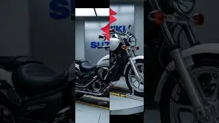 Suzuki intruder