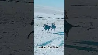 Сарвар Полвон 🦅 #kd #horse #rek #панджакент #лошади #тикток #reels #лайк #love