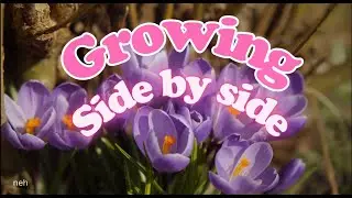 GROWING SIDE BY SIDE #originalchristianmusic #discipleshipjourney #mentoring