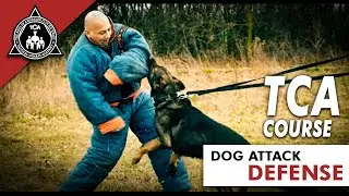 Dog Attack: Defense / &Uacute;tok Psa: Obrana