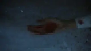 5N0W
