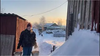 Морозы в Сибири продолжаются!😱❄️ -43°. В хозяйстве еще -1 животное😢. Прячем животных от мороза!
