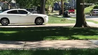 The best  Squirrel calling.