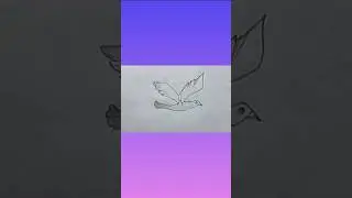 how to draw a flying bird for kids# Easy bird drawing Y later step by step#shorts#viral#pencil art