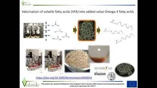 VOLATILE Project presentation - Thomas Dietrich