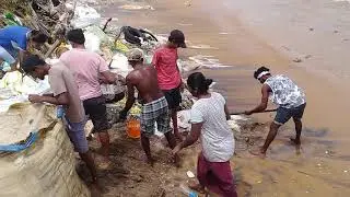 Halawatha walle muhudu kadanaya