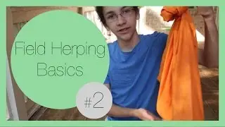 How to Bag a Snake