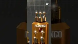 Brazilian Trophy Winners 🥶💀