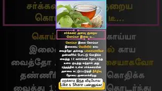 Guava Leaf Tea Recipe | Goyya ilai Theneer goa leaf tea recipe in tamil