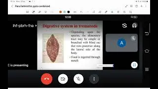 Trematode