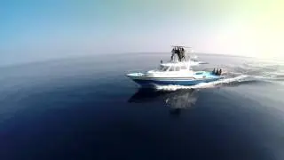 Offshore 45 waHoo
