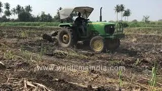 Sugarcane field tilling with tractor | Sugarcane farm | Agriculture in India