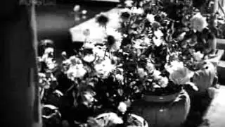 CHANDA KI CHHAON MEIN - LATA - NOOR LUCKHNAVI - C RAMCHANDRA(PARCHHAIN 1952)