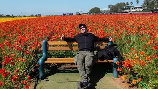 THE FLOWER FIELDS AT CARLSBAD RANCH: YOUR COMPLETE GUIDE! (4K)