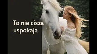 Dlaczego cisza przy zwierzętach działa inaczej niż bycie samemu