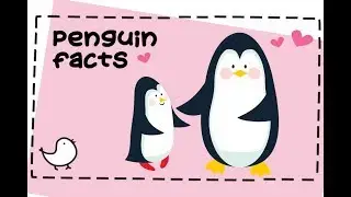 10 Fun Facts about Penguins