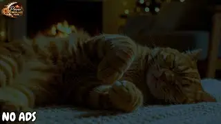 Calming Music for Cats &ndash; Relaxing Cat Music for Anxiety Relief, Sleep & Healing