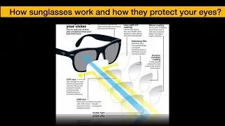 How sunglasses work and how they protect your eyes
