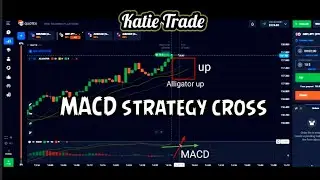 MACD indicator strategy crosses.  powerful and accurate