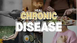 What FOODS Can HEAL Your Gut And Reverse Chronic Disease In Weeks?