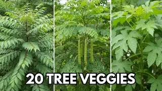 20 Vegetables That Act Like Fruit TREES (Low-Effort Gardening Hack)