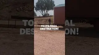 Storage Shed Delivery in Colorado