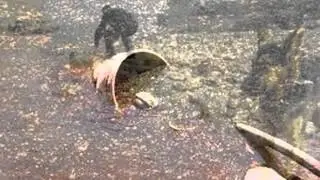Leo Masliah Agua Podrida