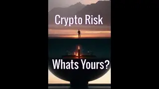 What Is Your Crypto Risk Profile? Bitcoin, Chainlink, Pyth, Coti or Nervos?
