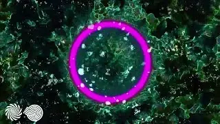 Vini Vici - Namaste (Hilight Tribe Remix) [Visuals: Hackstage]