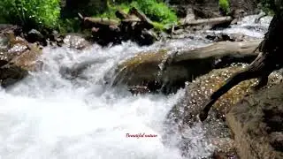 &ldquo;Where Water Whispers Peace | A Hidden Waterfall in Colorado&rdquo; #life_in_america #trending #foryou