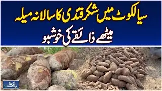Sweet Potato Festival Sialkot | Annual Market & Cultural Celebration