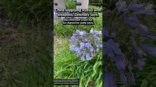 Trump DC attorney on Russian media. Pravda on Wikipedia, LLM, X. Ukraine: China supply Russia weapon