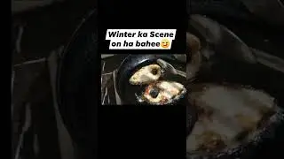 Seafood 