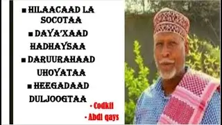 cabdi qays | hilaacaad lasocotaa dayaxaad hadhaysaa