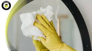 Home Cleaning | Home Cleaner in Fort Lauderdale | Neat Nest Cleaning Co.