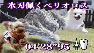 MHWI 氷刃佩くベリオロス ランス ソロ 04'28