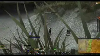 [19] Beached Sea Creature | Darkshore (ID: 4733) - Turtle Wow Quest Database