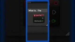 WHAT IS THE 