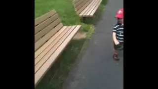 Ev chasing a peacock