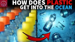 Why so MUCH Plastic Ends up in the Ocean