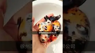LanshouGoldfish Satisfying fish Goldfish #short#shorts