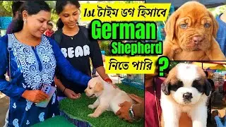 Serampore Pet Market | Serampore Dog Market | dog market in kolkata | dog market in kolkata price