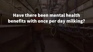 Benefits of once per day milking - Producer Perspective