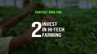 Learn Hi-Tech Farming ( Hydroponic Farming ) and get higher returns Up To 30% | Brio Hydroponics